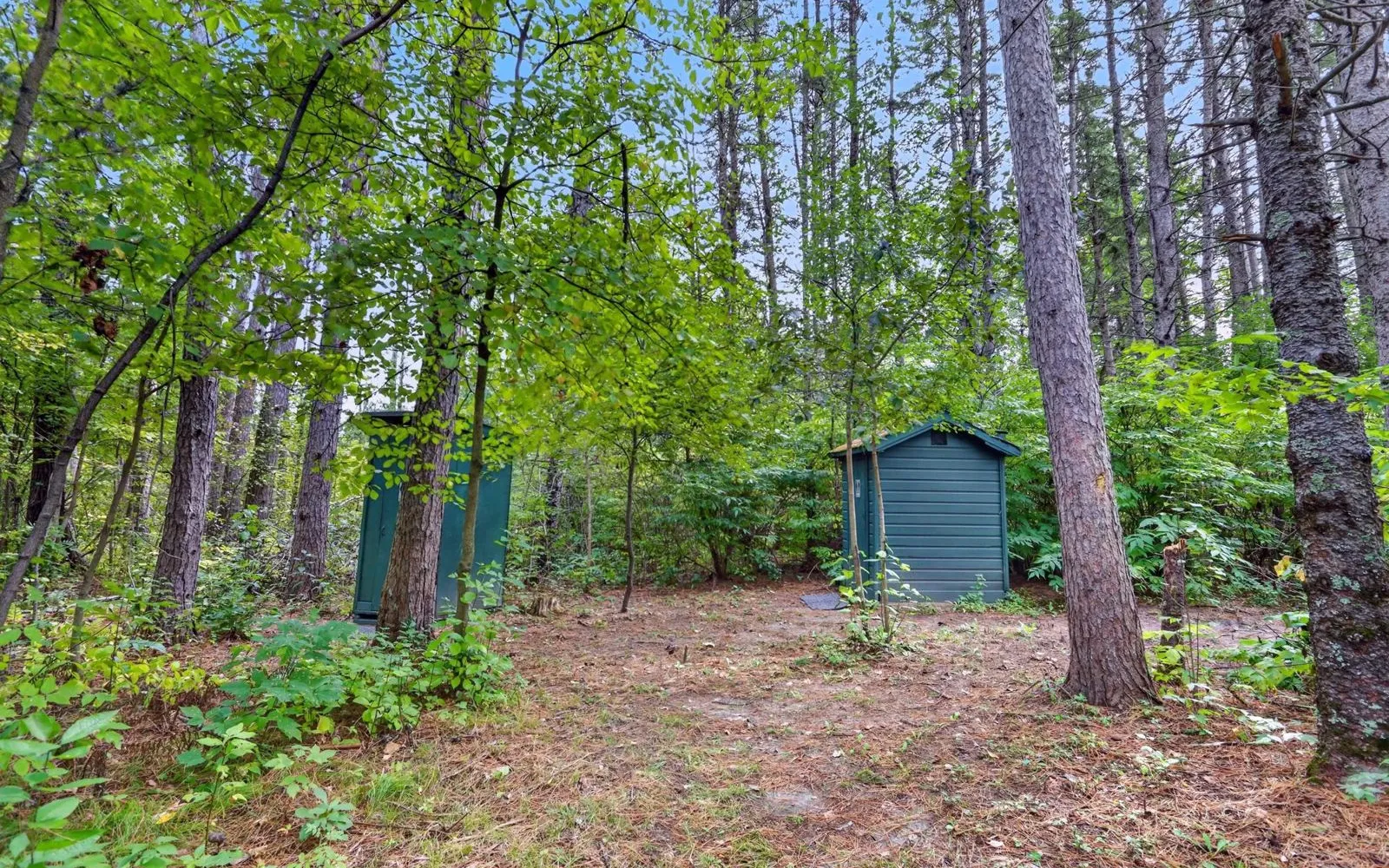 House from the side yard