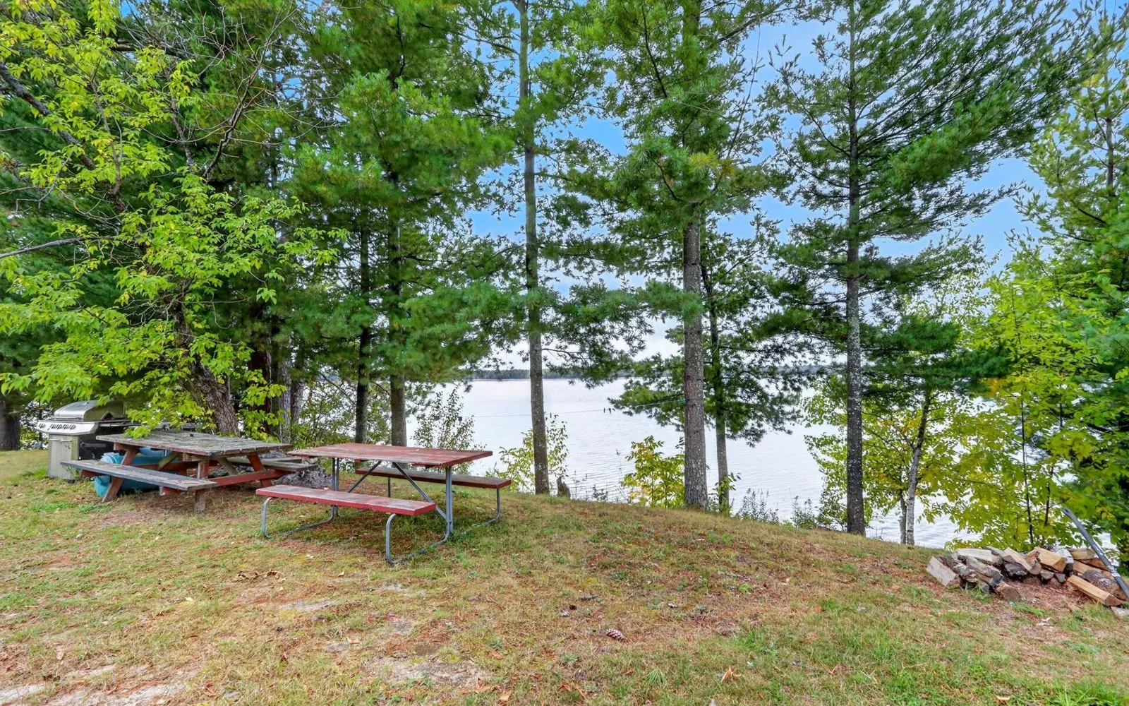 Water and the far shore of Shallow Lake