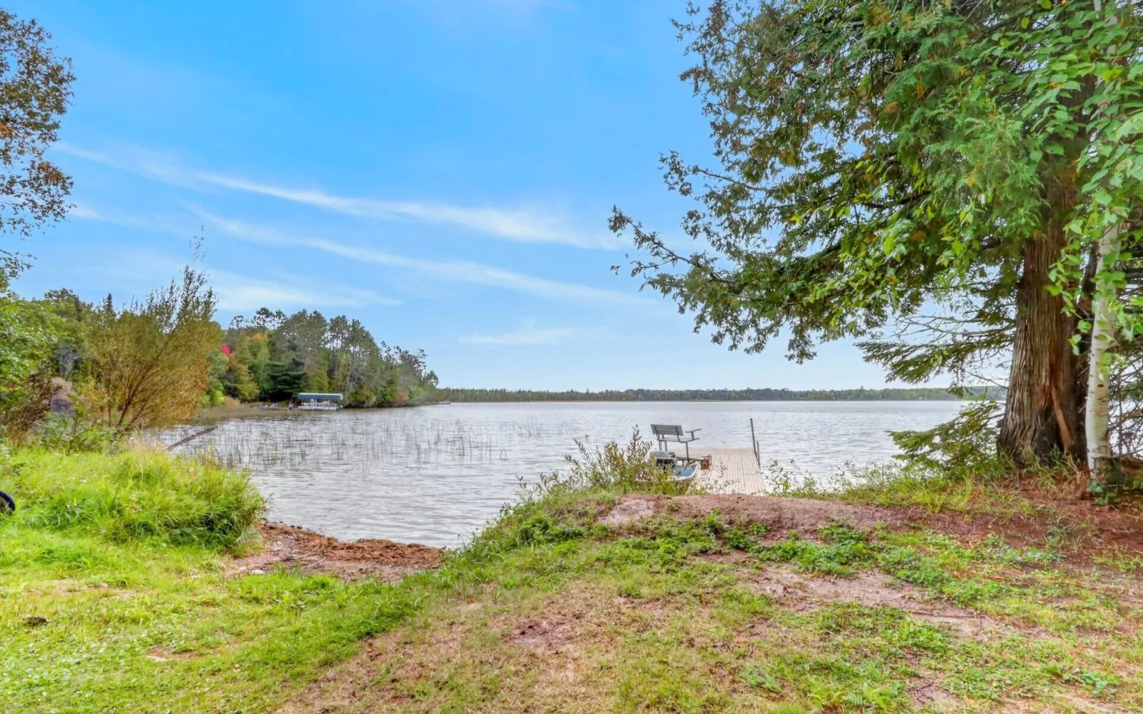 Shoreline of the property